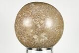 3.1" Polished Agatized Dinosaur (Gembone) Sphere - Morocco - #198516-1